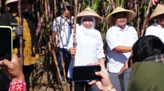 Target Bongkar Ratoon 2026 Kabupaten Malang Terbesar di Jatim, Capai 7.500 Hektare