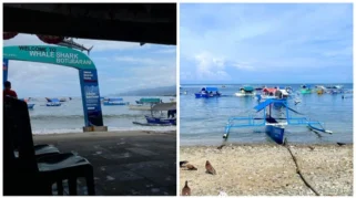Teluk Tomini dan Jalan Menuju Ekonomi Biru Gorontalo: UMKM Pesisir Jadi Kunci Kesejahteraan Berkelanjutan