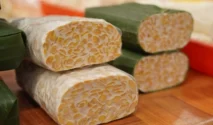 Tempe, Pangan Tradisional yang Mengandung Probiotik