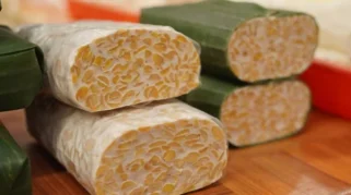 Tempe, Pangan Tradisional yang Mengandung Probiotik
