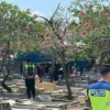 Terungkap Menantu Nenek di Boyolali Akui Kirim Sate Ayam Misterius Sebelum Korban Meninggal