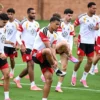 Timnas Jerman Waspadai Ancaman Ular Berbisa di Tempat Latihan Piala Dunia 2026