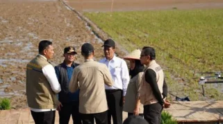 Topang Swasembada Pangan, Pemerintah Percepat Pemulihan 42.702 Hektare Lahan Pertanian Pascabencana di Sumatera