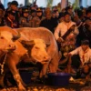 Tradisi 1 Suro di Pekulo Banyuwangi: Air Sumber Jeding Disiram ke Jalan sebagai Simbol Tolak Bala