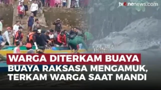 Tragis Saat Mencuci Pakaian, Ibu Rumah Tangga di Siak Dimangsa Buaya
