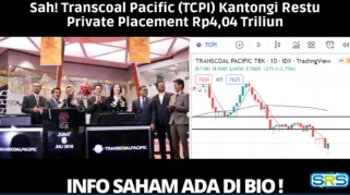 Transcoal Pacific Masuk Daftar Saham Terkonsentrasi Tinggi, Apa Implikasinya bagi Investor?