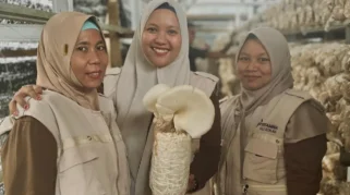UMKM Seroja Kembangkan Kemandirian Budidaya Jamur Berkat Pelatihan PHR