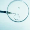 Usia Jadi Faktor Utama yang Memengaruhi Keberhasilan IVF, Dokter Ungkap Penurunan Drastis Setelah 40 Tahun