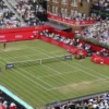 Vekic Cetak Sejarah, Raih Gelar Perdana WTA 500 di Queen's Club