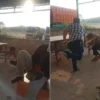Viral Pengusaha Palembang Pukul Sopir Terduga Penggelap Truk Rp300 Juta, Begini Kronologi dan Klarifikasinya