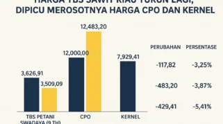 Wacana Monopoli Ekspor Sawit Picu Penurunan Harga TBS dan Kekhawatiran Petani