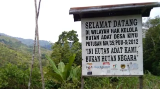 WALHI Kalsel Kritik Kebijakan Gubernur Soal Taman Nasional Pegunungan Meratus di Hari Lingkungan Hidup Sedunia 2026