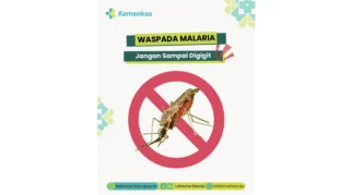 Waspada Malaria: Kenali Gejala Awal dan Langkah Pencegahan Efektif