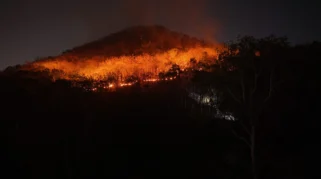 15 Hektar Lahan di Gunung Gombak Ponorogo Terbakar