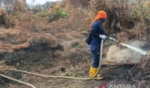 4 Daerah di Wilayah Jateng Dilanda Karhutla, Berawal Dari Pembakaran Serasah Panen Jagung