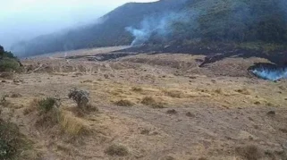 8 Pendaki Wanita Tektok di Gunung Gede Pangrango Dievakuasi karena Kelelahan