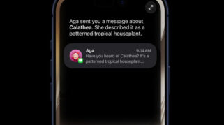 Apple Rilis iOS 27 Public Beta, Siri AI Jadi Fitur Unggulan