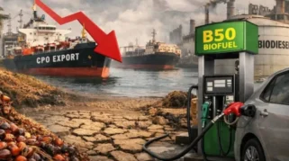 B50 dan Trilema Pangan, Energi, dan Ekspor Sawit Indonesia