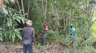 Babinsa Rupat Patroli Lahan Rawan, Pastikan Nol Karhutla di Pangkalan Nyirih