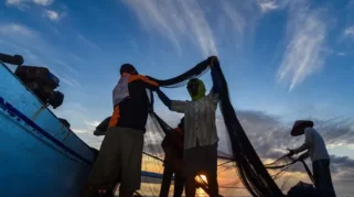 Banyuwangi Jadi Tuan Rumah Forum ASEAN-ID Blue, Panggung Diplomasi Ekonomi Biru