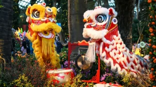 Barongsai: Tarian Tradisional Tiongkok yang Mendunia dan Dicintai Lintas Etnis