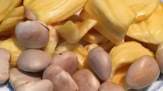 Biji Nangka: Sumber Nutrisi yang Kerap Terabaikan