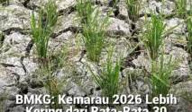 BMKG dan Pemerintah Waspadai Potensi Kebakaran dan Kekeringan di Musim Kemarau 2026