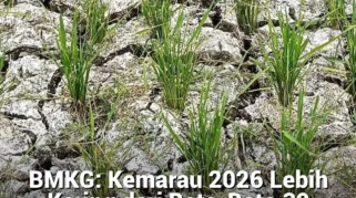 BMKG dan Pemerintah Waspadai Potensi Kebakaran dan Kekeringan di Musim Kemarau 2026