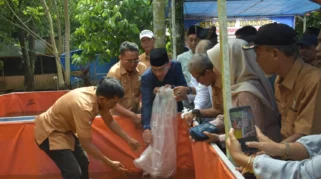 Budidaya Lele di Padang Dijadikan Proyek Percontohan Ketahanan Pangan