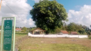 Buju Dhuwa: Makam Empu Pembuat Keris Pertama di Aeng Tong-Tong Kini Ramai Peziarah