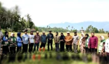 Bupati Gayo Lues Dampingi Kementan Tinjau Program Optimalisasi Lahan