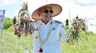 Bupati Simalungun Serahkan Alsintan ke Petani untuk Modernisasi Pertanian