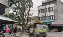 Camat Tanjungbalai Selatan dan DLH Tebang Pohon Antisipasi Banjir