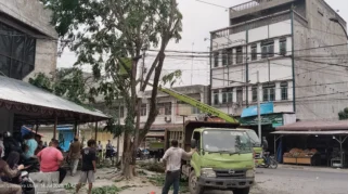 Camat Tanjungbalai Selatan dan DLH Tebang Pohon Antisipasi Banjir