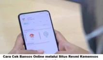 Cara Cek Bansos Online via Website dan Aplikasi Resmi Kemensos