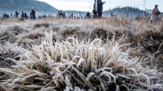 Dataran Tinggi Dieng Diselimuti Embun Es, Suhu Capai Minus 3 Derajat Celsius