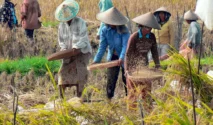 Distanpangan Bali Terapkan Sistem Bottom-Up untuk Jamin Efektivitas Bantuan Pertanian