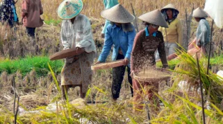 Distanpangan Bali Terapkan Sistem Bottom-Up untuk Jamin Efektivitas Bantuan Pertanian