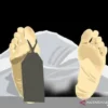 Dituduh Curi Ayam Aduan Hingga Tewas, Kasus Pengeroyokan Warga di Tabanan Bikin PDIP Pasang Badan