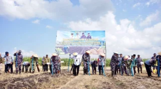 Dukung Ketersediaan Kedelai Nasional, TNI AL dan Pemkab Banyuwangi Peluas Area Penanaman Kedelai