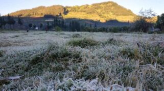 Embun Upas Kembali Selimuti Dieng, Suhu Capai Minus 6 Derajat Celcius