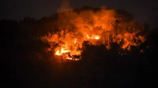 Foto Hutan Gunung Jati di Kabupaten Bandung Dilalap Si Jago Merah