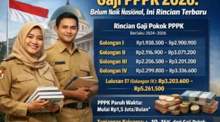 Gaji PPPK Aman, Pemda Buka Formasi CPNS 2026