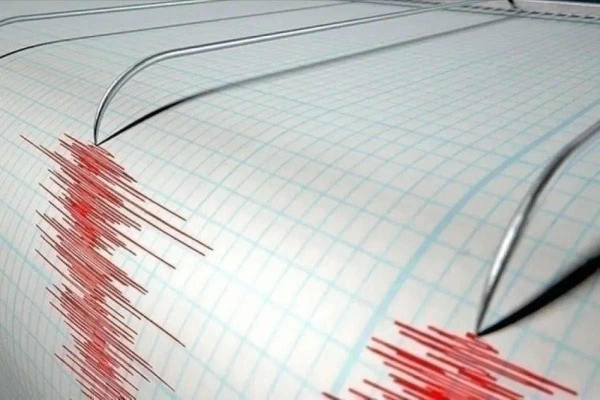 Gempa Magnitudo 2,6 Guncang Gunungkidul DIY