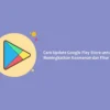 Google Play Store: Antara Kemudahan dan Risiko Keamanan