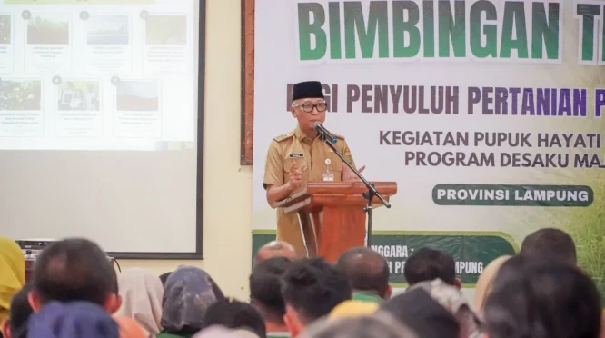 Gubernur Lampung Dorong Penggunaan Pupuk Hayati Cair untuk Swasembada Pangan