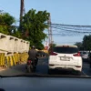Halo RRI DSDABM Minta Warga Bersabar, Proyek Drainase Masih Berlangsung