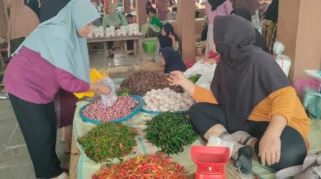 Harapan Konsumen: Harga Bawang Merah Kembali Normal