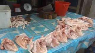 Harga Ayam Turun Drastis, Omzet Pedagang di Medan Meningkat