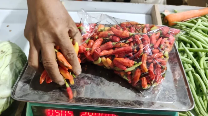 Harga Cabai di Pasar Induk Pare Kediri Fluktuatif, Cabai Rawit Meroket